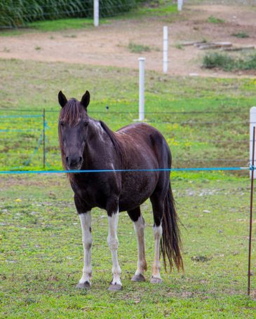 WhatsApp Image 2024-08-13 at 9.17.40 AM (12)